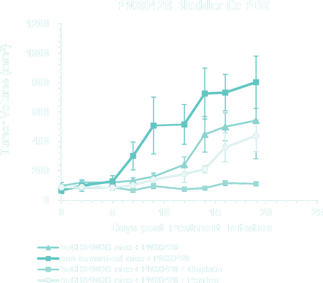 Graph 6