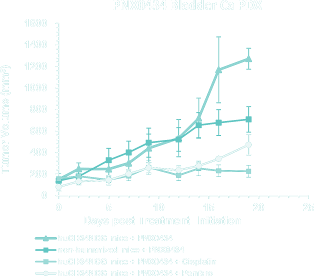 Graph 5