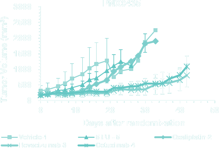 Graph 7