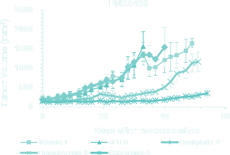 Graph 8