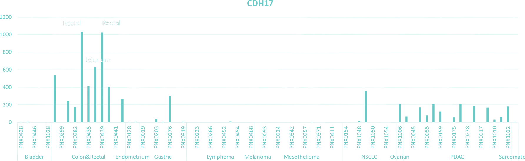 Graph 10